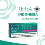 TEREA Black Green Indonesia